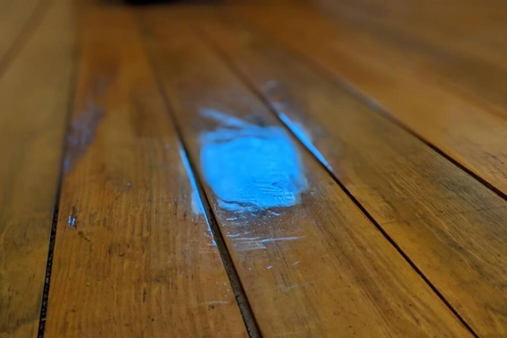 3 Bedroom Hardwood Palace Of 查尔斯顿 外观 照片